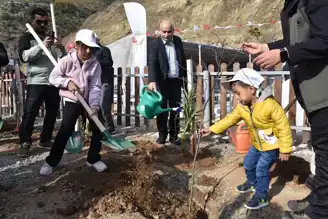 11 Kasım: Doğu Karadeniz'de Binlerce Fidan Dikildi