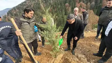 Giresun'da Binlerce Fidan Toprakla Buluştu