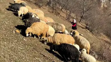 Giresunlu Kadın Hayvancılıkla Geçimini Sağlıyor