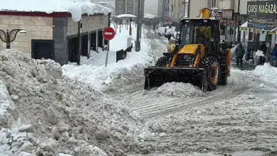 Kuzeydoğu'da Yoğun Kar Yağışı Hayat Felç Etti