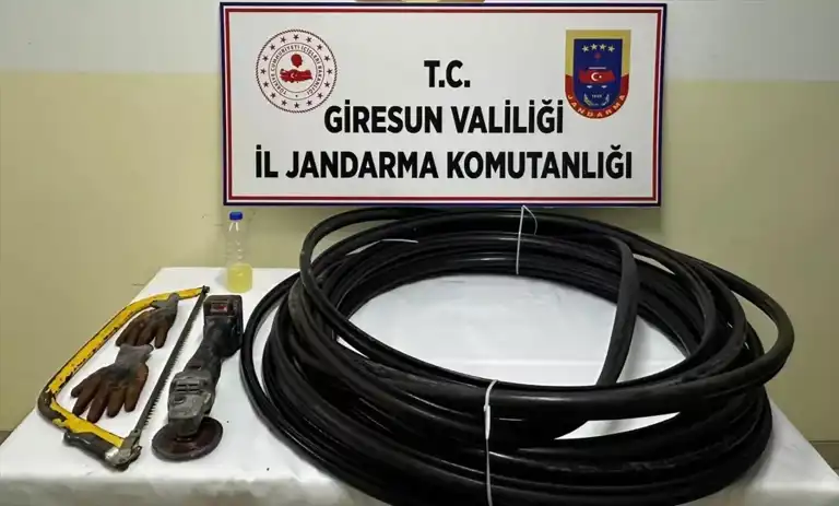 Giresun'da Kablo Hırsızlığına Operasyon: 1 Kişi Tutuklandı